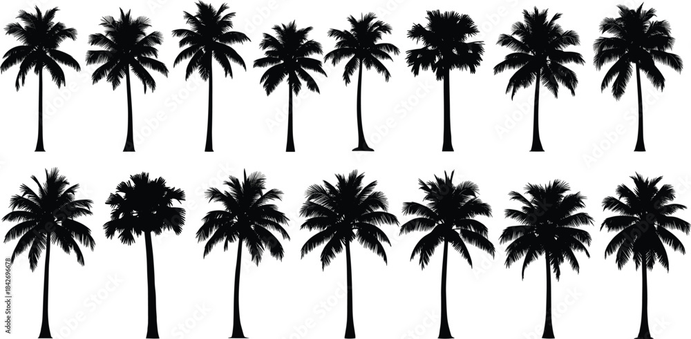 Naklejka premium Collection of black palm tree silhouette vectors featuring tropical summer designs ideal for beach illustrations, travel graphics, nature themes, and decorative artwork.