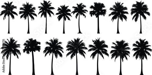 Collection of black palm tree silhouette vectors featuring tropical summer designs ideal for beach illustrations, travel graphics, nature themes, and decorative artwork.