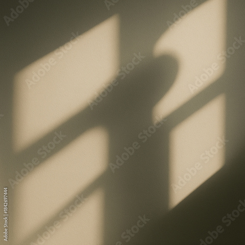 Soft Window Light Shadow on Textured Wall
