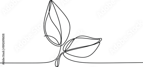 Simple line of a single leaf with three leaflets line leaf