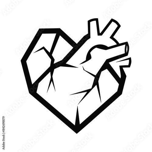 Broken heart anatomy illustration