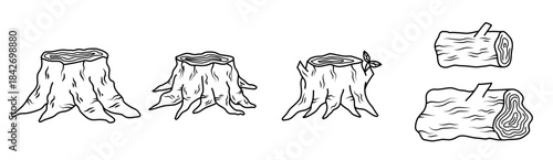 wood stump tree root illegal logging wood log