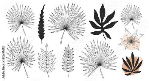 A diverse collection of tropical leaves and abstract botanical elements, featuring elegant line art and bold silhouette illustrations in a contemporary minimalist style.