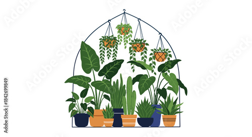 Illustration of various potted houseplants and lush green hanging plants arranged neatly under a decorative arch on a clean white background.
