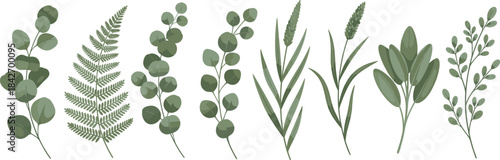 Botanical greenery vector set featuring eucalyptus, fern, and wild foliage illustrations, perfect for wedding designs, nature themes, floral arrangements, branding, and decorative artwork.