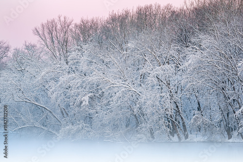 Winter landscape at dawn of the foggy shoreline of the Kalamazoo River with snow flocked trees, Michigan, USA