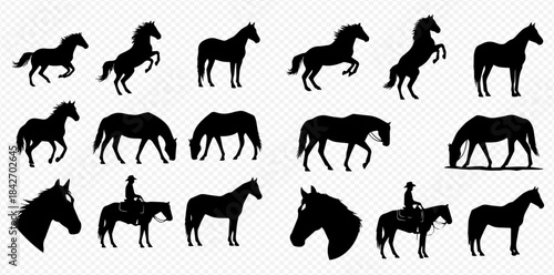 Collection of various horse silhouettes in different poses and actions, including a rider.