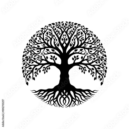 Black tree of life silhouette isolated on white background