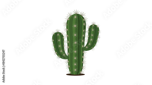 A green cactus plant with sharp spines