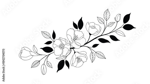 Vector of delicate blossoming cherry flowers and leaves, a beautiful botanical illustration for graphic design projects