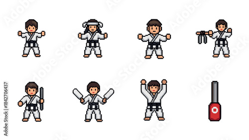 Pixel art karate characters in various poses and actions with equipment