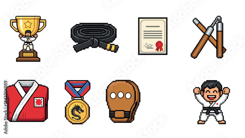 Martial arts icons: trophy, belt, certificate, nunchaku, uniform, medal, mitt, fighter
