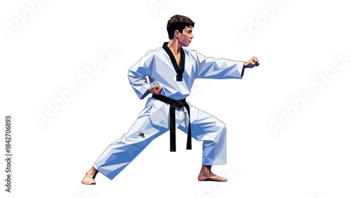 Geometric martial artist in powerful stance wearing traditional outfit