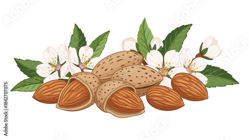 A vibrant illustration of almonds with green leaves and white flowers on a, showcasing the nuts both shelled and unshelled