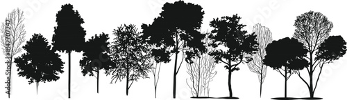 Silhouette collection of diverse trees and branches against a white background Keywords: trees, silhouette, black, white, branches