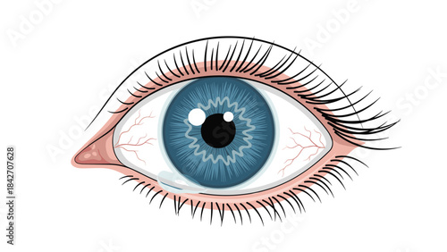A detailed illustration of a blue eye with long eyelashes