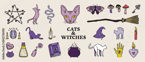Cats and witches set spellbooks and cauldrons, candles and cat head, broom and rose, Halloween palette hand drawn