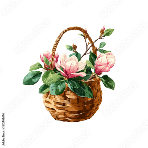 Magnolia Basket illustrated in isometric watercolor style, isolated on white.