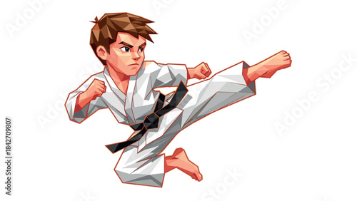 Dynamic karate kick: geometric style martial arts action