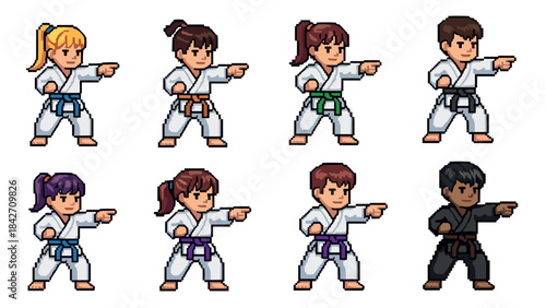 Diverse martial arts characters with pixel art style in different colored belts