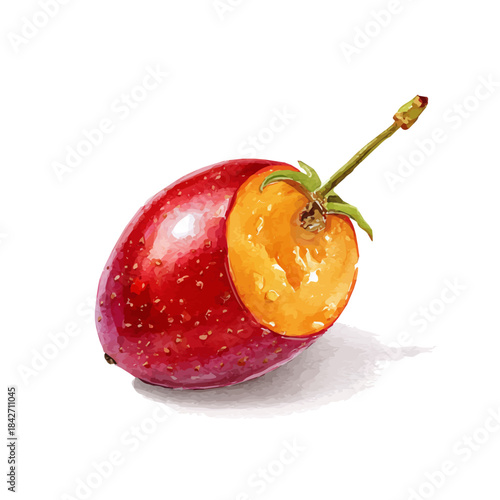 Isometric watercolor rendering of Tamarillo, isolated on a clean white background.