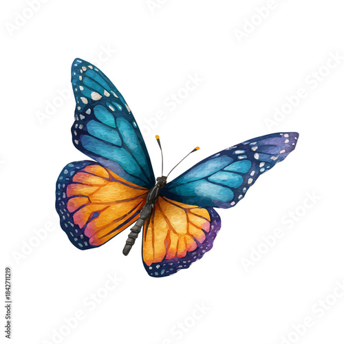 Isometric watercolor rendering of Butterfly, isolated on a clean white background.