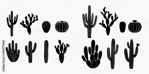 Set of black silhouettes of various desert cacti plants on transparent background.