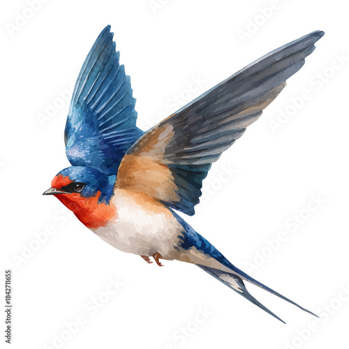 Watercolor isometric artwork featuring Swallow, presented on white background.