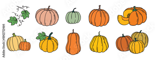 pumpkin and pumpkin leaves autumn harvest doodle hand drawn icon set. Cartoon colorful drawing pumpkin clipart symbol collection