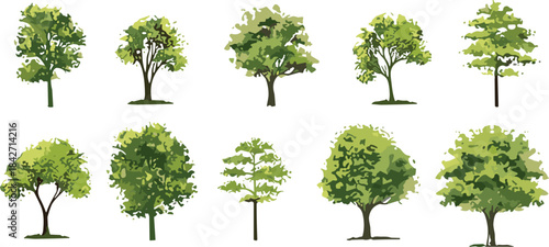 Collection of ten diverse green trees with detailed foliage and trunks on white background Keywords: tree, trees, green, nature