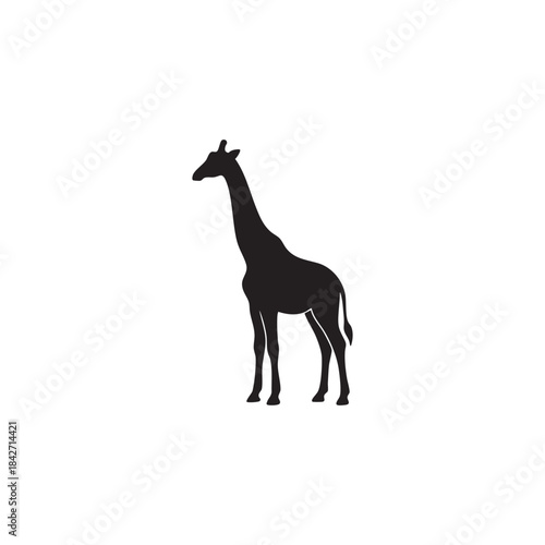 Black silhouette of giraffe on transparent background