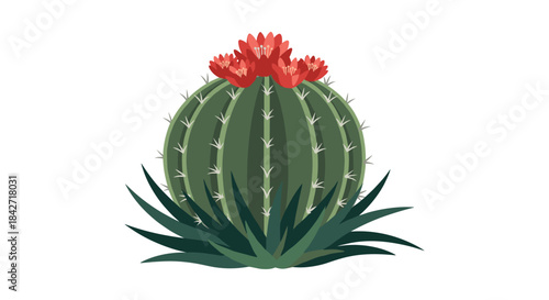 A large green cactus with vibrant red flowers blooming on top surrounded by spiky leaves.