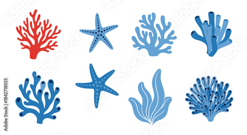 A collection of colorful underwater sea life and coral reef illustrations with clear backgrounds.