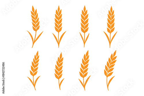 Wheat ear icons set vector silhouettes. Black wheat spikelet vector collection. Set of wheat stalk. Cereal plant silhouettes. Wheat silhouettes. Wheat vector icons. Design eps 10 