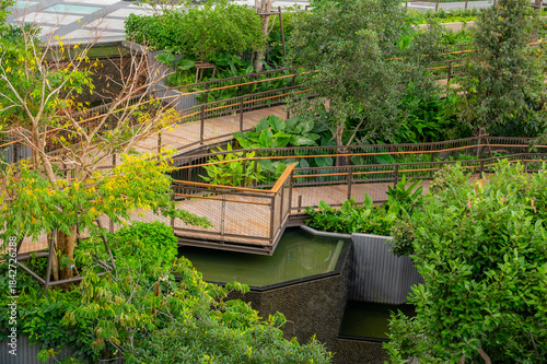 Walkways and wooden paths in Dusit Park on a Bangkok rooftop, surrounded by fresh greenery and offering elevated city views that blend modern design with calm natural space.