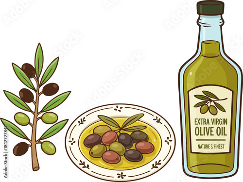 Vector illustration of the olive and olive oil concept.