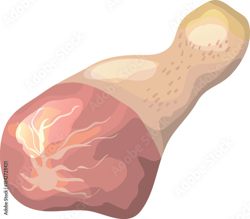 A cartoon drawing of a chicken leg with a lot of detail