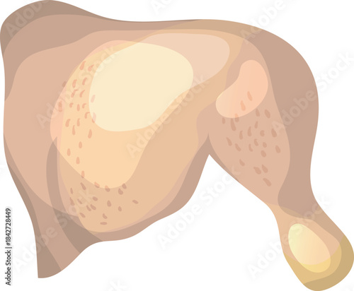 A cartoon chicken with a white background