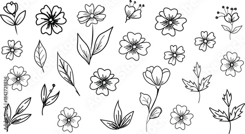 Hand-drawn botanical flower line art vector set featuring black and white contour illustrations of foliage, wildflowers, eucalyptus, butterflies, and bees, perfect for logos, wedding designs .