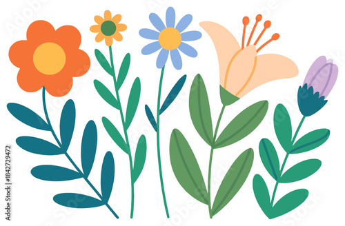 Colorful flat flowers and leaves in orange blue yellow purple green petals stems