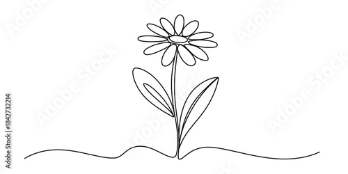 A minimalist single continuous line art drawing illustrating a simple flower Vector, illustration