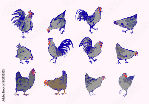 Set of chickens, rooster, hen, drawing line art vector illustration. Poultry farm hand drawn character isolated on white background.