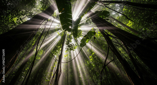  A dense, low-angle view looking up through a lush, tropical jungle canopy. The sunlight aggressively filters through the layers of leaves and vines, creating distinct rays of light and heavy atmosphe