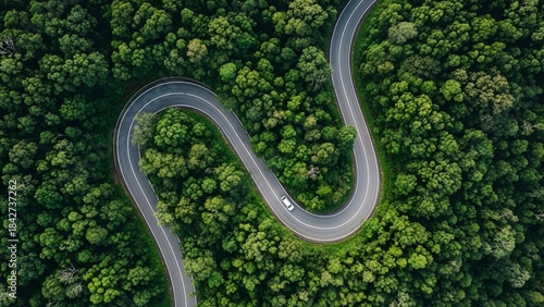Serpentine Road Winding Through Lush Green Forest Canopy From Above