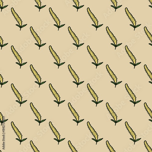 Willow Yellow Flower Brown background natural hand drawn seamless
