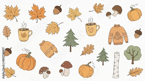 Autumn season elements collection with pumpkins and leaves.