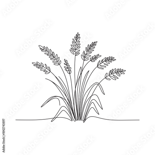 Continuous line art illustration of a bundle of wheat stalks or cereal crop
