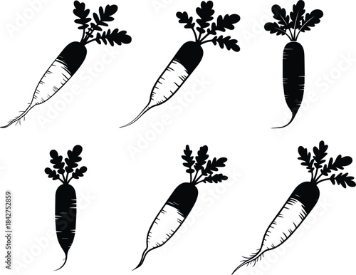 Set of Minimalist black daikon radish vegetable silhouette vector icon