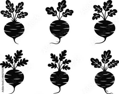 Set of Minimalist black jicama mexican turnip vegetable silhouette vector icon