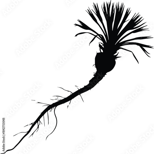 Minimalist black salsify oyster plant root vegetable silhouette vector icon
